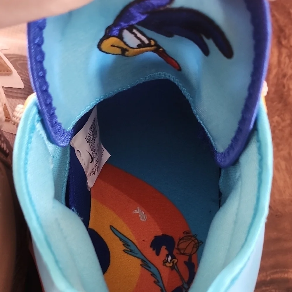 Nike Space Jam X LeBron 18 Low EP While E X Roadrunner 10.5